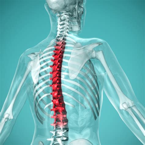 What is myelitis and what are the symptoms? | The US Sun