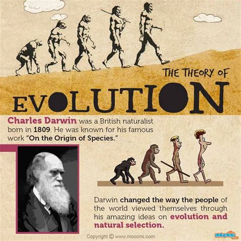 charles darwin theory  evolution  kids