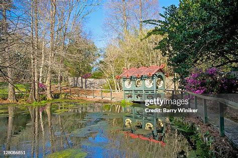 Mobile Botanical Gardens Photos and Premium High Res Pictures - Getty ...