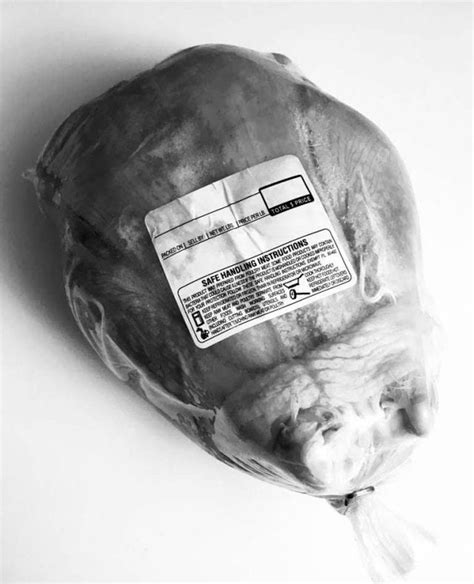 How To Roast A Frozen Chicken Its Terrific Improvised Life