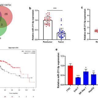 Abnormal Expression And Prognostic Value Of Mir P In Hcc A The