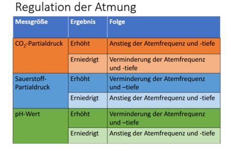 Atmung Karteikarten Quizlet