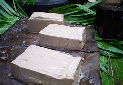 Chicle The Ancient Origins Of Mexican Chewing Gum