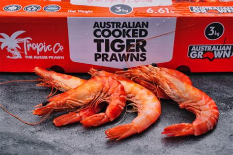 Tiger Prawns Cooked Kg Box Planet Seafood Buy Local Australian