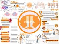 Mapas Mentais Doen As Celulares Esquemas Patologia Docsity