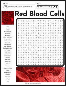 Red Blood Cells Word Search Puzzle By Word Searches To Print TPT