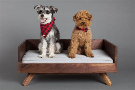 Stylish Dog Beds For Pets With Class