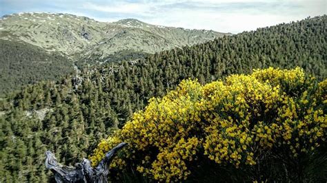 Fotos De Mony Guadarrama En Felicitaciones E