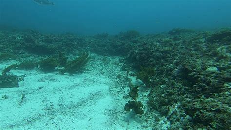 Douglas Shoal Sediment Sampling Panorama Video C Gh