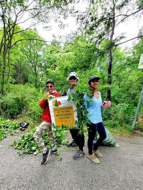 Site Stories Highland Creek Park Toronto Nature Stewards