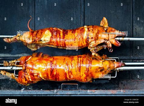 Three Pigs Rolling On The Skewer While Roasting Stock Photo Alamy