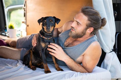 Mit Hund Im Wohnmobil Reisen Wohnmobil Ratgeber