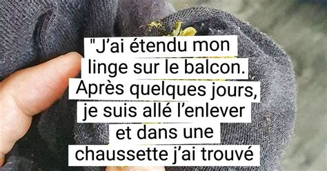 15 Fois où des gens ont oublié une chose puis sen sont soudainement