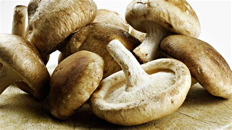 Types Of Mushrooms Common Mushroom Varieties And How To Off