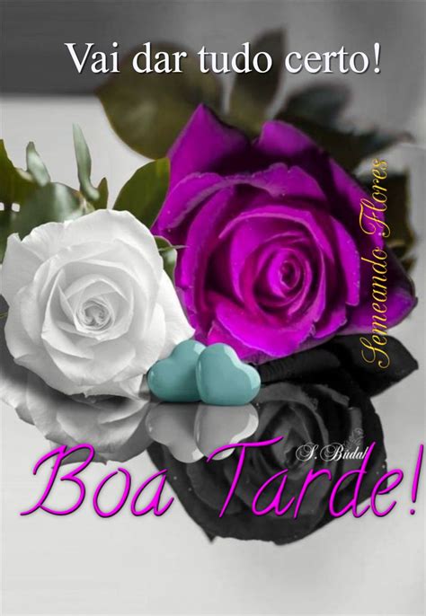 Pin De Rose A Em Mensagem De Bom Dia E Boa Tarde Boa Noite Boa Tarde