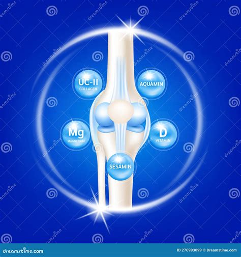 Dietary Supplement Bones. Arthritis Knee Joint Pain in Leg Stock Vector