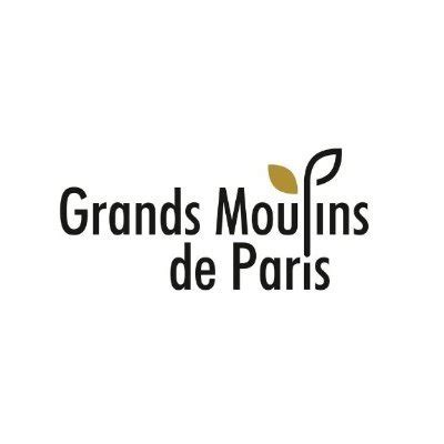 Brandfetch Grands Moulins De Paris Logos Brand Assets