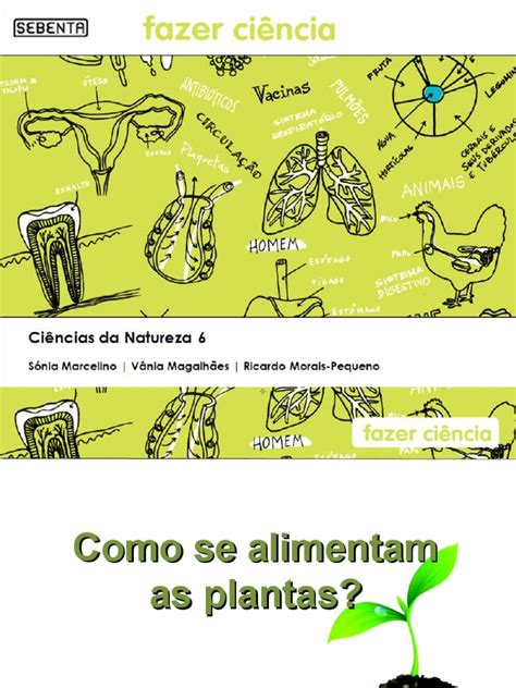Como As Plantas Se Alimentam - Como Se Alimentam As Plantas | Plantas | Fotossíntese