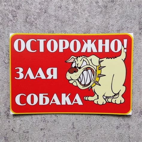 Наклейка Осторожно Злая собака от Мир стендов - 399529301