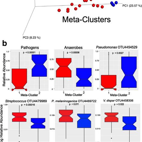 A PCoA Plot Of Metabolomic Data With The Two Hierarchical Clusters