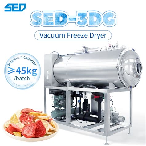 Automatic Food Freeze Drying Equipment Fruits Vegetables Meat