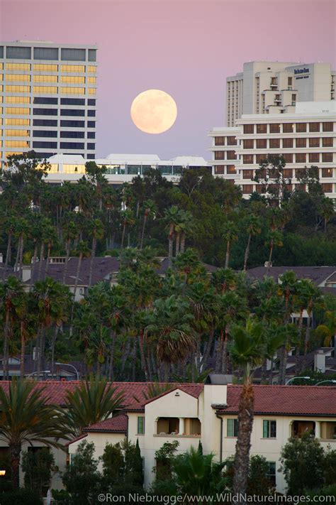 Newport Beach Ca Photos By Ron Niebrugge