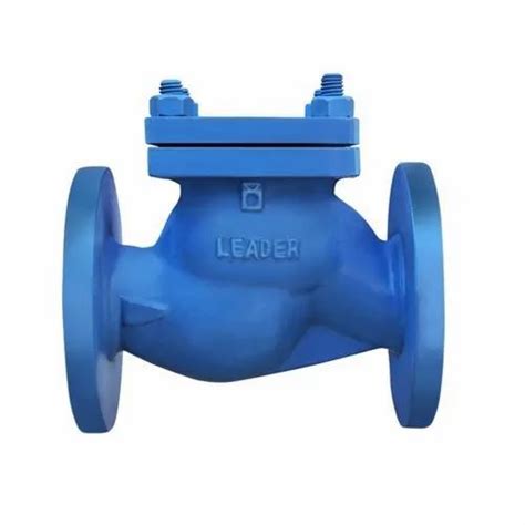 2 Way Stainless Steel Leader Cast Iron Horizontal Lift Check Valve