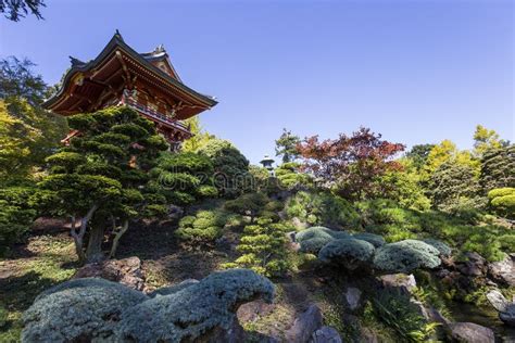 Vegetation And Trees In A Japanese Garden Stock Image Image Of