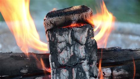 Fire Log Flames Free Stock Video Pixabay