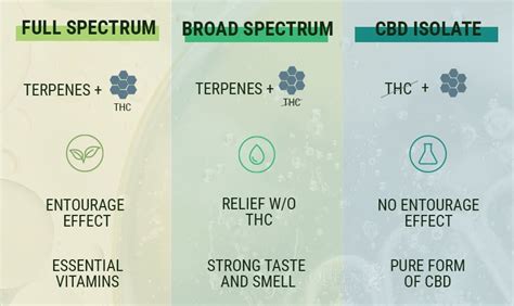 Full Spectrum Cbd Vs Isolate Whats The Difference Rqs Blog