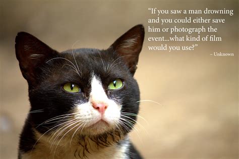 inspirational photography quotes   funny  px