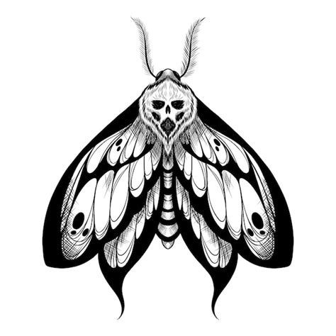 Traditional Skull Moth Tattoo