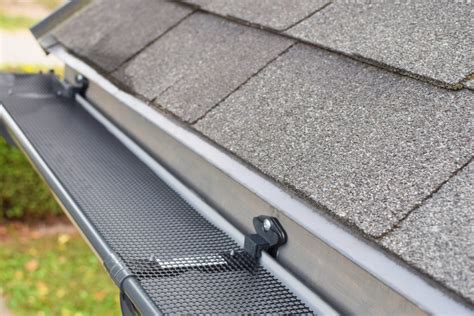 Best Gutter Guards For Pine Needles Pro Advice