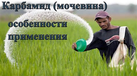 Карбамид (мочевина). Особенности применения. Лечение вредителей и ...