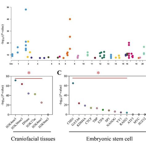 Cis Eqtl Analysis Of Lip Tissues From Nsclp Patients A Flowchart Of Download Scientific