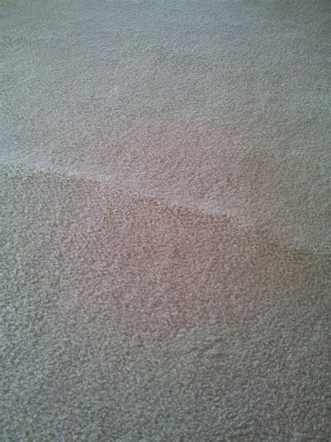 How to fix a bump in the carpet? - Home Improvement Stack Exchange