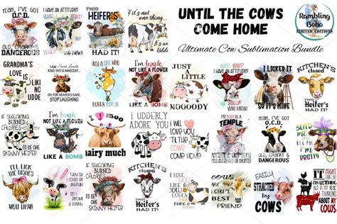 Ultimate Sassy Cow Bundle Bundle · Creative Fabrica