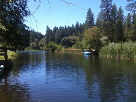 Lake Madrone Berry Creek Ca