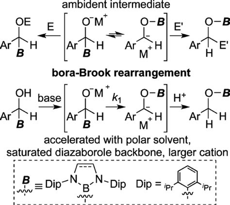 A Qualitative Analysis Of A Bora Brook Rearrangement The Ambident