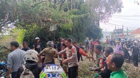 Pohon Tumbang Tutup Jalur Utama Wisata Lembang Bandung Barat Arus Lalu