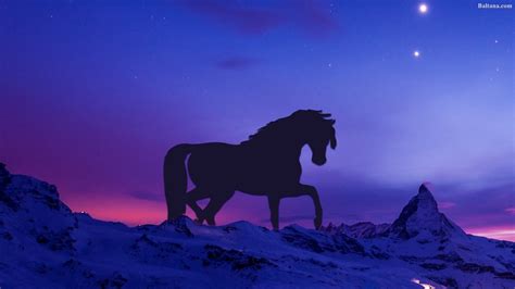 Horse HD Background Wallpaper 30518 - Baltana