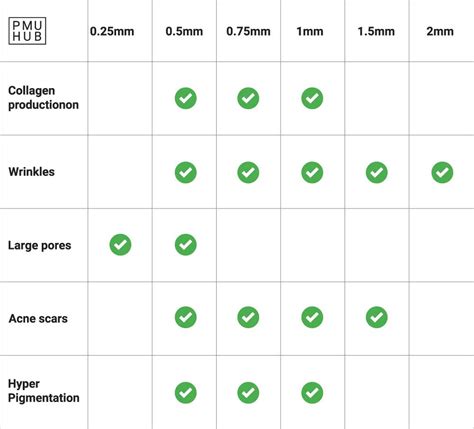 Microneedling Depth Guide Through Areas Concerns 54 OFF