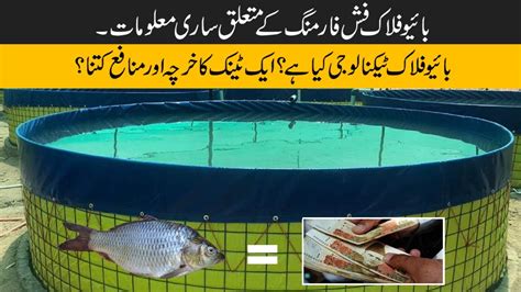 How To Start Biofloc Fish Farming In Pakistan Biofloc Fish Farming