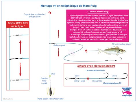 Pêche au vif du bord en téléphérique avec Marc Puig Normandie Appâts