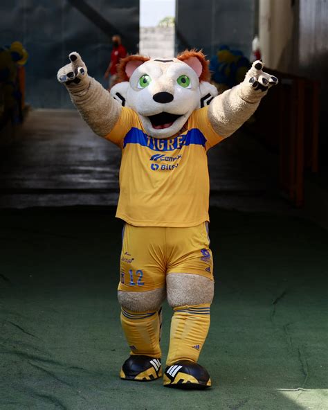 10 mascotas universitarias de instituciones públicas y privadas de México