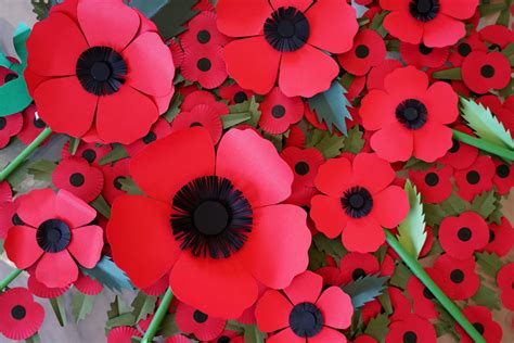 Paper Based Poppy Replaces Plastic For Poppy Appeal Reb Market