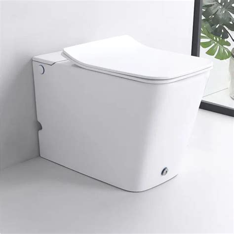 Приставной унитаз Ceruttispa, направление выпуска: Горизонтальное (в ...