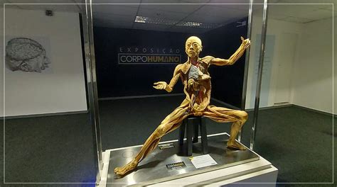 Exposição CORPO HUMANO