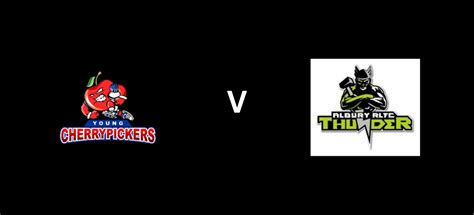 young cherrypickers  albury thunder albury thunder rugby