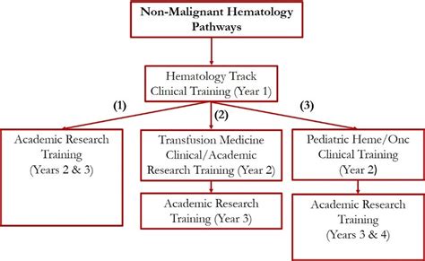 Hematology Track Johns Hopkins Kimmel Cancer Center